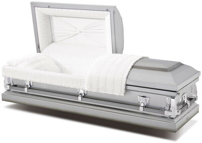 Silver (Aries Series)