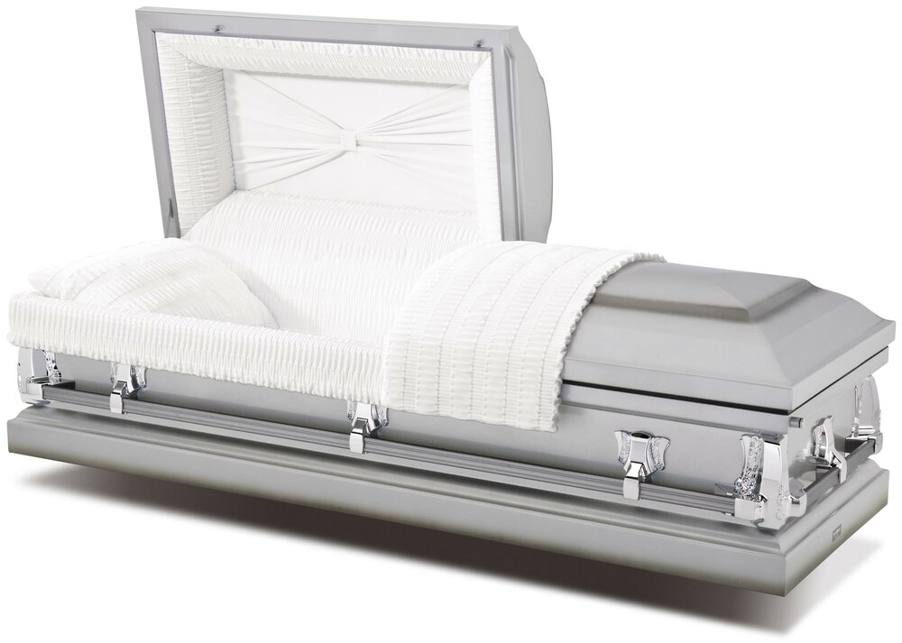 Silver (Aries Series)