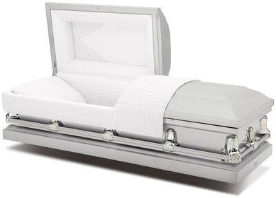 Silver (Gemini Series) 