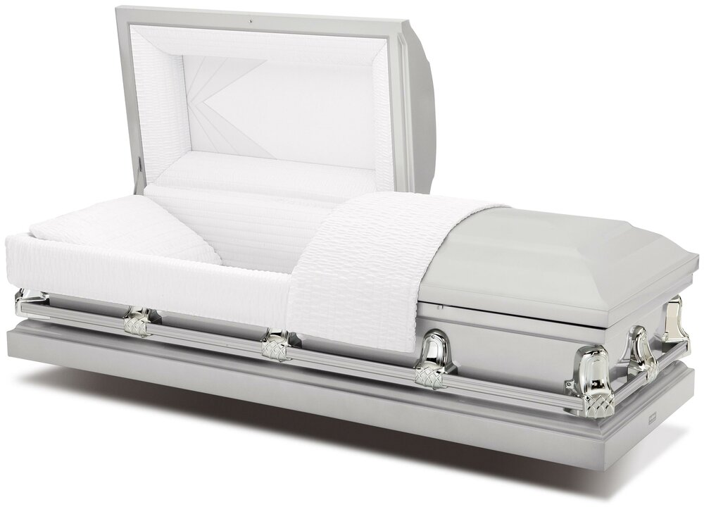 Silver (Gemini Series) 