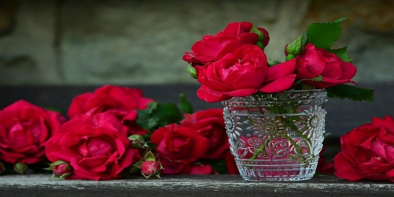 Bringing Up Your Future Funeral Home Services