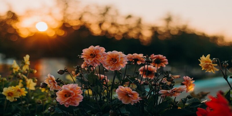 Does Your Family Need A Funeral For Their Loved One?